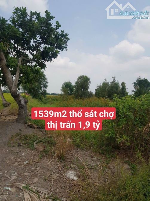 1538m2 thổ sát chợ thị trấn thủ thừa Long An 1,7 tỷ ( hàng rất ngộp)