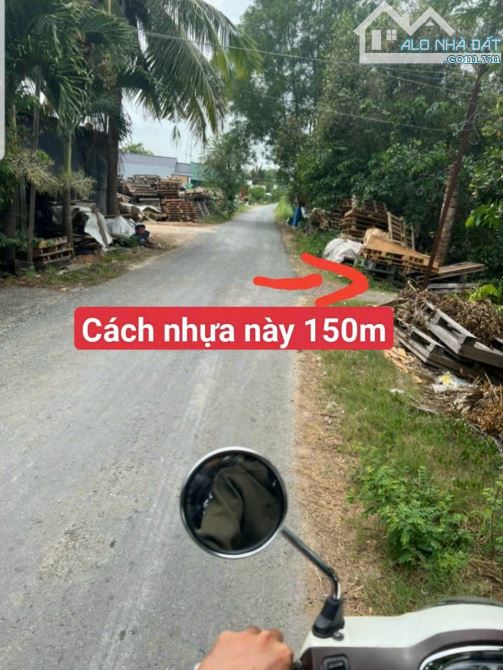1538m2 thổ sát chợ thị trấn thủ thừa Long An 1,7 tỷ ( hàng rất ngộp) - 1