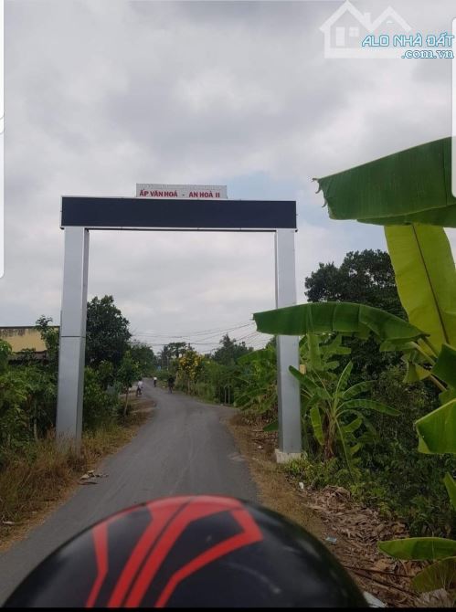 1538m2 thổ sát chợ thị trấn thủ thừa Long An 1,7 tỷ ( hàng rất ngộp) - 3