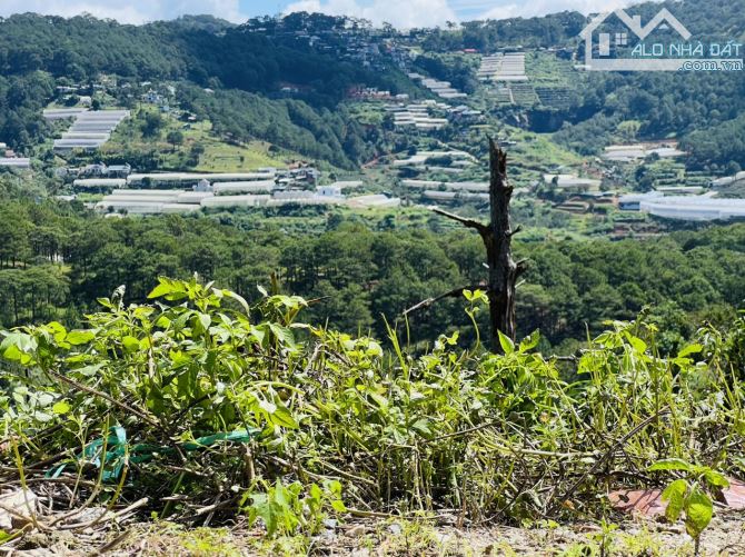 Bán Đất view cực đẹp Hoàng Hoa Thám, P. 10, Đà Lạt