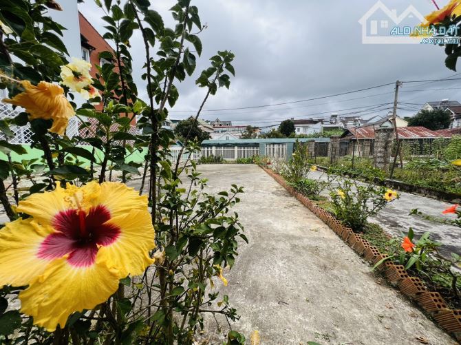 Bán đất Trần Quý Cáp phường 9 Đà Lạt thuận tiện kinh doanh - 1