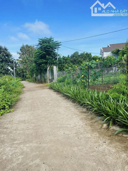 BÁN ĐẤT 1 SẸC QUỐC LỘ 20 2 MẶT TIỀN BÊ TÔNG 1029M2(16MX66M) CÁCH QUỐC LỘ 20 2KM GIÁ 720TR - 2
