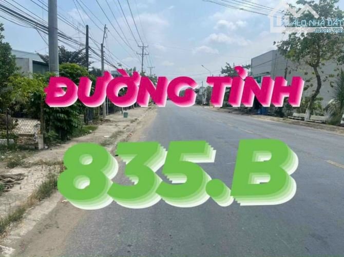 Bán đất thổ cư mặt tiền DT835B huyện Cần Giuộc; 7,2x32m