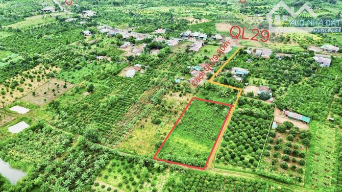 ✨ 3.000m2, Góc 2 Mặt Tiền, 85x38m (QH: FULL HỒNG), cách QL29 chỉ vài bước chân - 659 Triệu - 1