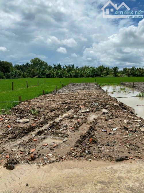 Bán lỗ 132m2 đất thổ đường ô tô nguyễn văn lũy, Tân Trụ, 495 tr