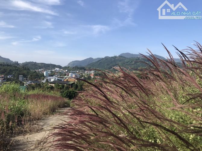 1.3 sào ql20 view Bảo Lộc tuyệt đẹp. - 1