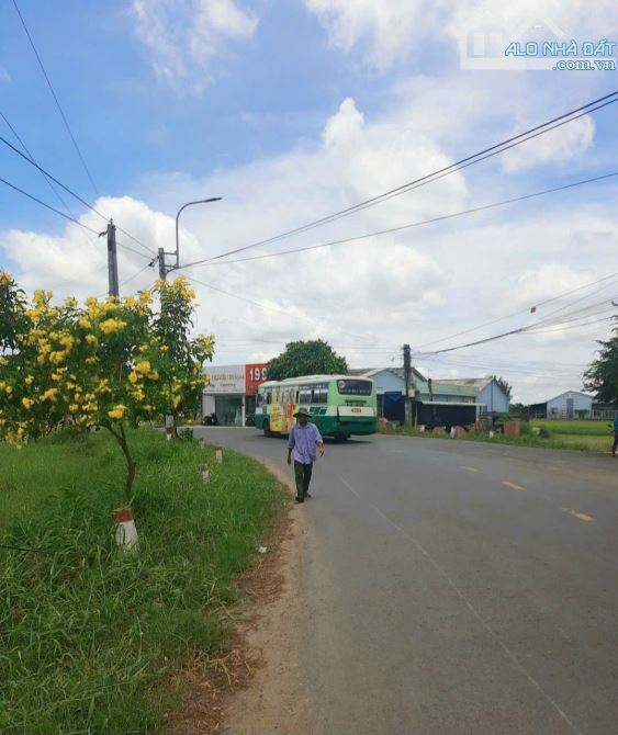Bán lỗ 132m2 đất thổ đường ô tô nguyễn văn lũy, Tân Trụ, 495 tr - 3