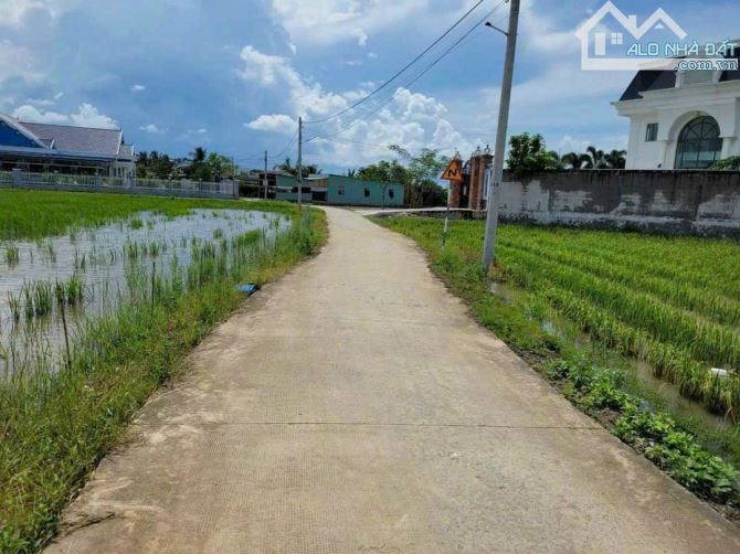 Bán lỗ 132m2 đất thổ đường ô tô nguyễn văn lũy, Tân Trụ, 495 tr - 4