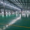 Cho thuê 2000m2 kho chứa hàng có PCCC tại kcn Ninh Hiệp