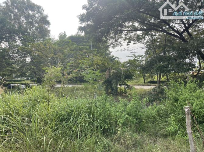 2500m2 đất khu công nghiệp xã An Thạnh, Bến Lức, Long An giá 15 tỷ - 1