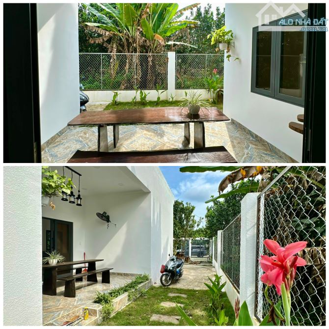 ✨ Nhà Vườn Đẹp gần 700m2, GIÁ CỰC TỐT: từ 2.5TỶ GIẢM chỉ còn 2.3TỶ (vẫn còn thương lượng) - 3