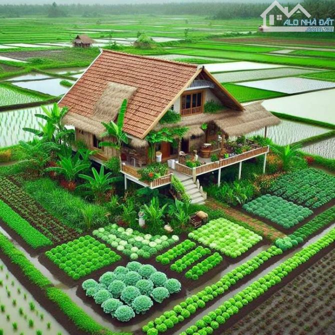 Chỉ 750tr sở hữu 1000m2 đất vườn chuyển thổ view kênh - 1
