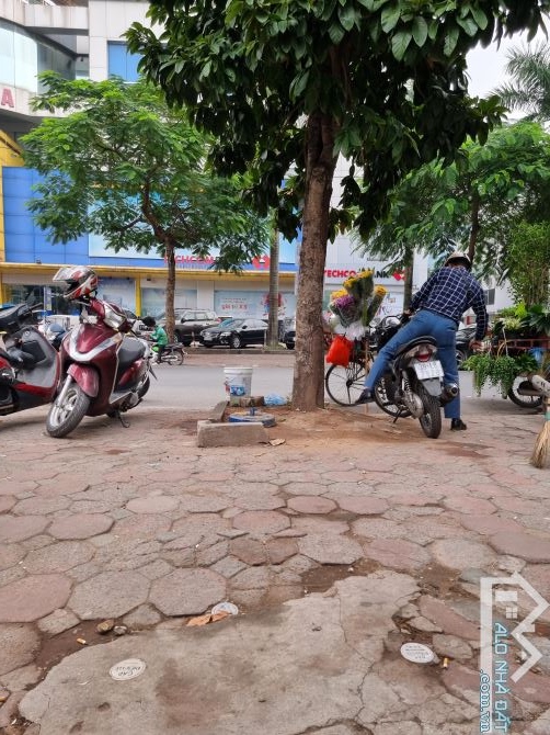 Bán nhà Phân Lô Trần Quốc Hoàn, 53M nhà đẹp Gara, An Sinh, Cầu Giấy - 1