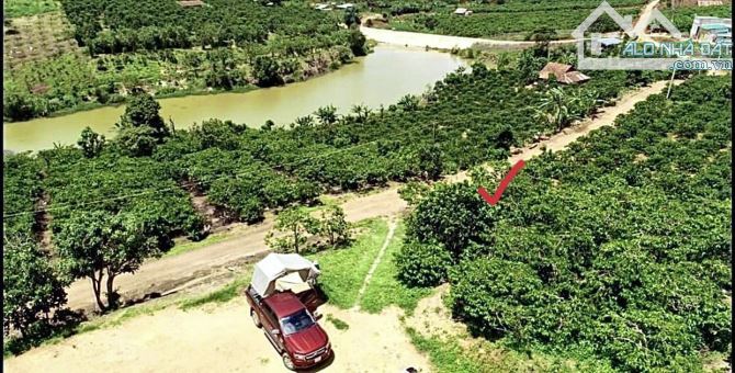 ✨ 625m2 có 200m2 ONT, Ngang 11.4M Mặt tiền Bê tông, thế đất dương, View Hồ mát mẻ - 889 Tr - 1