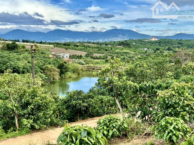 ✨ 625m2 có 200m2 ONT, Ngang 11.4M Mặt tiền Bê tông, thế đất dương, View Hồ mát mẻ - 889 Tr - 2