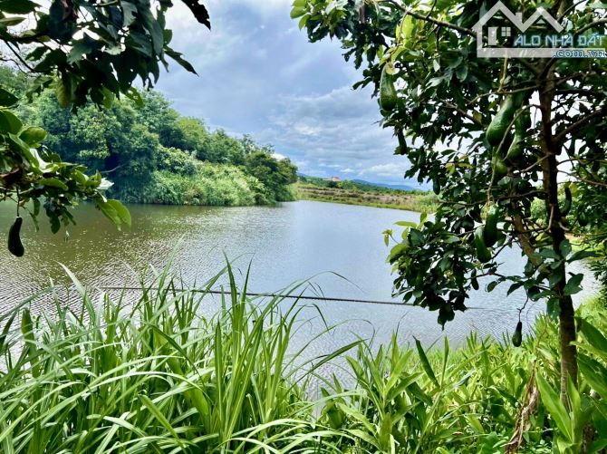 ✨ 625m2 có 200m2 ONT, Ngang 11.4M Mặt tiền Bê tông, thế đất dương, View Hồ mát mẻ - 889 Tr - 3