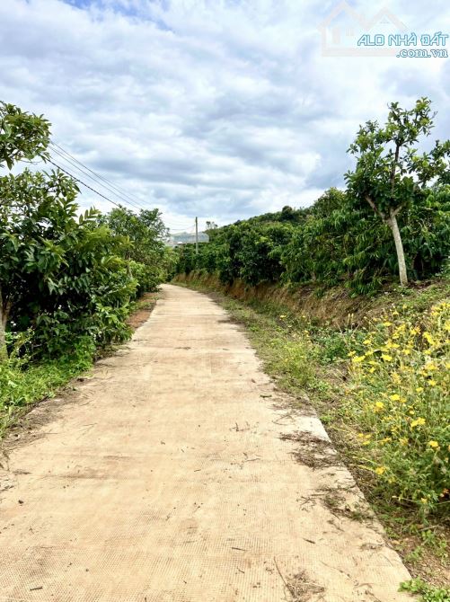 ✨ 625m2 có 200m2 ONT, Ngang 11.4M Mặt tiền Bê tông, thế đất dương, View Hồ mát mẻ - 889 Tr - 4