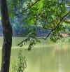 Quá rẻ Chỉ 720tr sở hữu ngay 1000m tc View Hồ tuyệt đẹp cần tiền bán gấp trong Tuần Lạc Sơ
