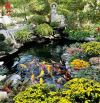 Cần Bán biệt thự Vườn Lài phong cách châu âu 290m chỉ 25 tỷ Phường An Phú Đông Quận 12