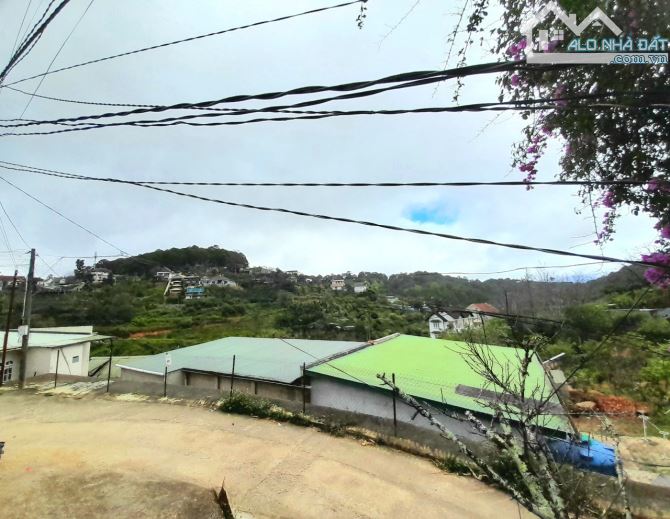 Bán đất view thông và sát rừng thông trung tâm Đà Lạt, cách Hồ Xuân Hương hơn 2km