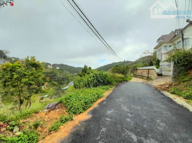 Bán đất view thông và sát rừng thông trung tâm Đà Lạt, cách Hồ Xuân Hương hơn 2km - 1