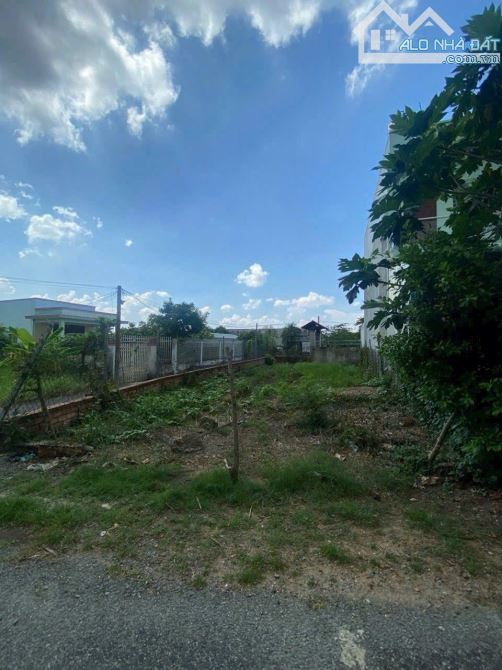 Cần bán nhanh lô gốc đất gần chợ Hưng Long Bình Chánh, 165m2, SHR, Gía rẻ - 1