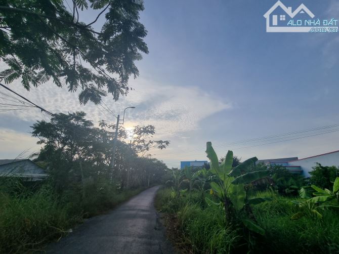 Cần bán nhanh lô gốc đất gần chợ Hưng Long Bình Chánh, 165m2, SHR, Gía rẻ - 2