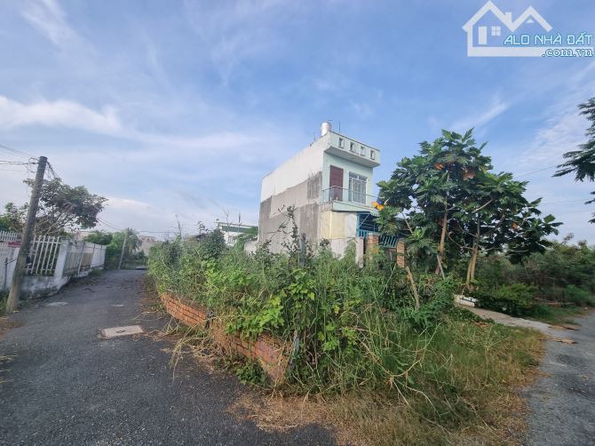 Cần bán nhanh lô gốc đất gần chợ Hưng Long Bình Chánh, 165m2, SHR, Gía rẻ - 3