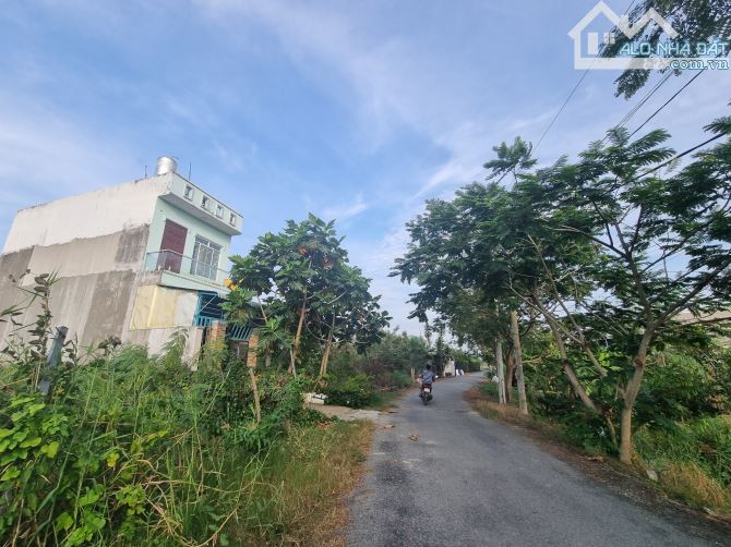 Cần bán nhanh lô gốc đất gần chợ Hưng Long Bình Chánh, 165m2, SHR, Gía rẻ - 4
