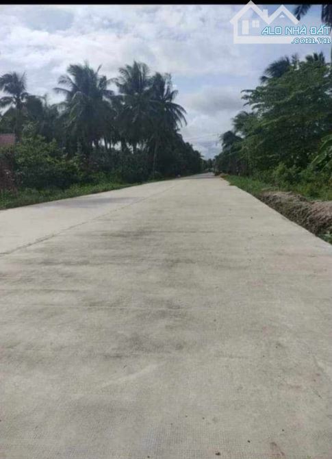 Chính chủ gửi bán 5,7 công đất mặt tiền đê quốc phòng trồng dừa đang cho trái - 5