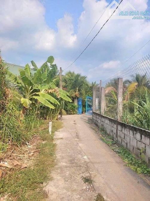 Đất Thổ P.Tân Khánh - TP Tân An , 5x20m² đường 1m7 Giá: 388tr - 3