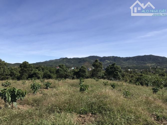 4 sào 51m mặt tiền Bảo Lộc. view toàn cảnh - 1