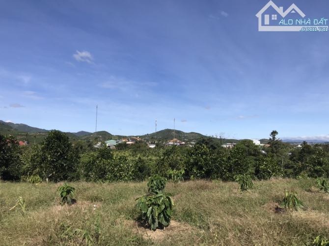 4 sào 51m mặt tiền Bảo Lộc. view toàn cảnh - 2