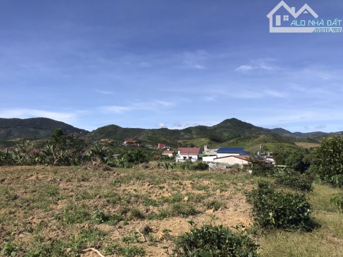 4 sào 51m mặt tiền Bảo Lộc. view toàn cảnh - 3