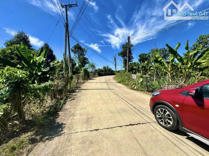 ✨ 5x41m GIÁ MUA GẦN 800TR, CẮT LỖ ĐẬM SÂU KHÔNG CÓ LÔ THỨ 2, ưu tiên khách CC SỚM - 499 Tr - 2