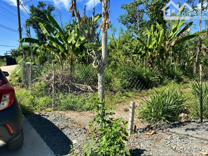 ✨ 5x41m GIÁ MUA GẦN 800TR, CẮT LỖ ĐẬM SÂU KHÔNG CÓ LÔ THỨ 2, ưu tiên khách CC SỚM - 499 Tr - 3