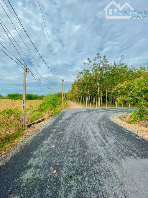 BÁN 6 MẪU ĐẤT ĐẸP MT ĐƯỜNG NHỰA, CÁCH TL328 CHỈ 1KM, GIÁ CHỈ 500TR/SÀO - 2