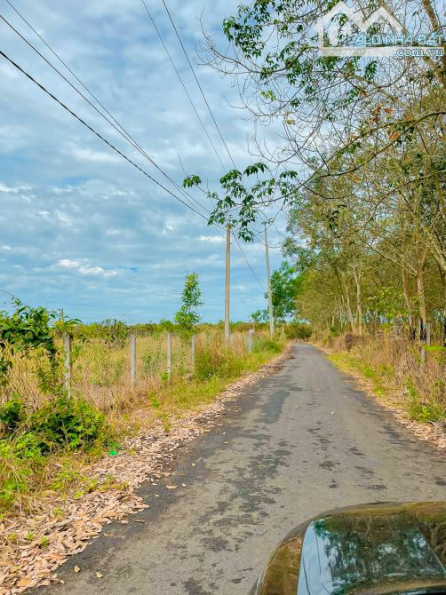 BÁN 6 MẪU ĐẤT ĐẸP MT ĐƯỜNG NHỰA, CÁCH TL328 CHỈ 1KM, GIÁ CHỈ 500TR/SÀO - 3