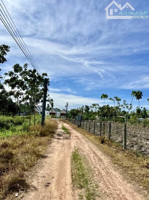 ✨ 2 SÀO VƯỜN TRÁI CÂY, 51.4M bám Mặt tiền đường, cách QL13 chỉ 1Km, chợ Bến Cát 3Km - 3 Tỷ - 3