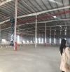 Cho thuê 4.200m2 xưởng Khu công nghiệp Thuận Thành, PCCC tự động,