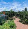 Bán lỗ nhà vườn đường Thanh Niên, Hóc Môn, DT 250m2, giá 1 tỷ 350, còn thương lượng