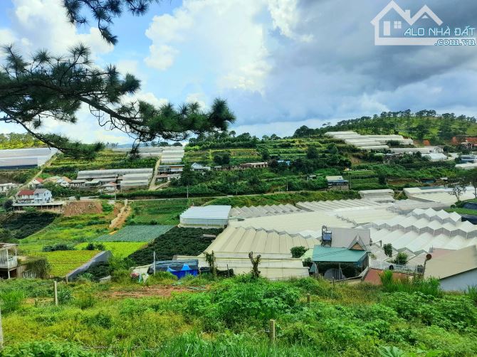 Bán đất mặt tiền view rừng thông trung tâm Đà Lạt, đi chợ đêm Đà Lạt 10p - 1