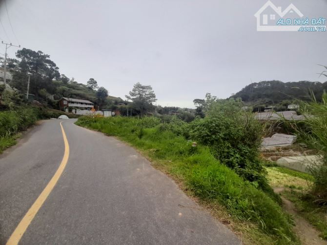 Bán đất mặt tiền view rừng thông trung tâm Đà Lạt, đi chợ đêm Đà Lạt 10p - 2