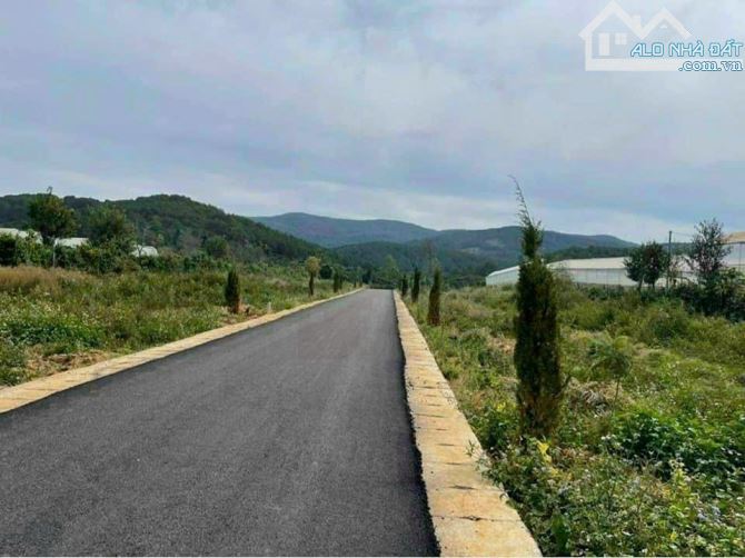 Kẹt tiền bán nhanh lô đất Tà Nung thành phố Đà Lạt - 1