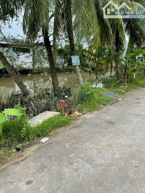bán đất mặt tiền đường chợ mỹ khánh bông vang , xe hơi tới đất dtsd trên 530m2 - 4