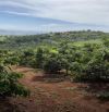 Đất ngộp Nam Hà DT: 10000m2 (1 ha) view đẹp giá siêu rẻ