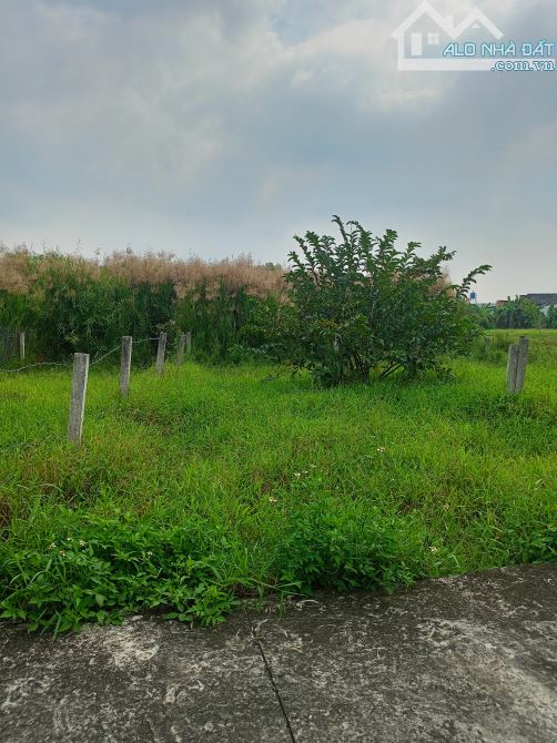 Đất hẻm đường Xóm Đình, P6, TP Tân An - 1