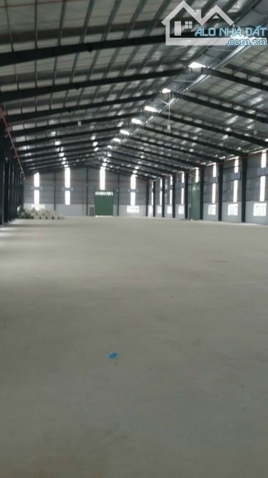 Cho thuê nhà xưởng 10000m2, 12000m2, 25000m2 KCN,Tân Đức, Tân Đô, Hải Sơn, Đức Hòa,Long An - 5