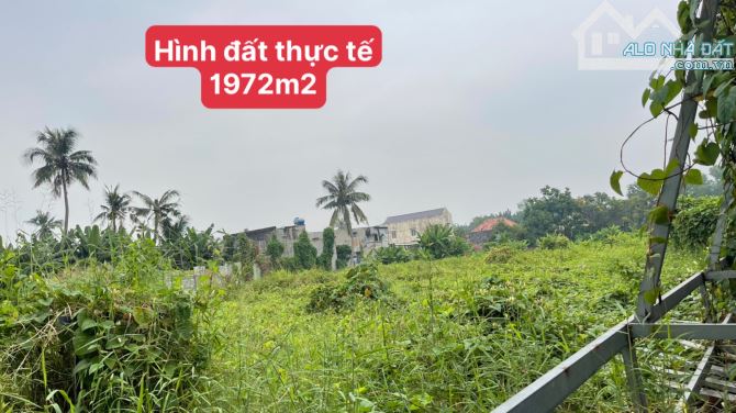 - CHỈ 45 TỶ sở hữu ngay lô đất 1972m2 đường 686 QL13, P.Hiệp bình phước ,tp.thủ đức .hcm - 5