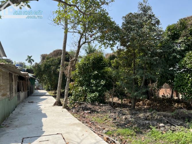 Đất An Sơn 20, Đã đổ thêm con đường bê tông trãi dài hết đất, Thích hợp xây nhà sổ chung - 4